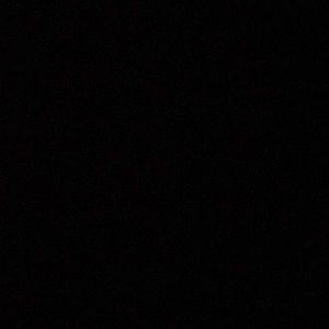 Meet your Posher, Abbie